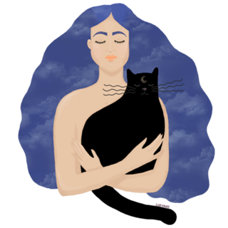 Gato da Noite