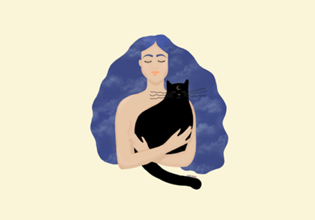 Gato da Noite