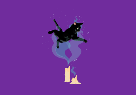 Enchanted cat