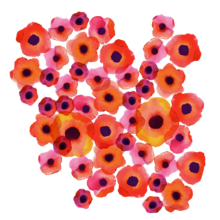 Floral Anil