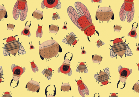 Insecta