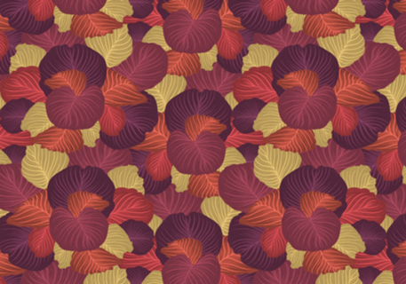 Calatheas