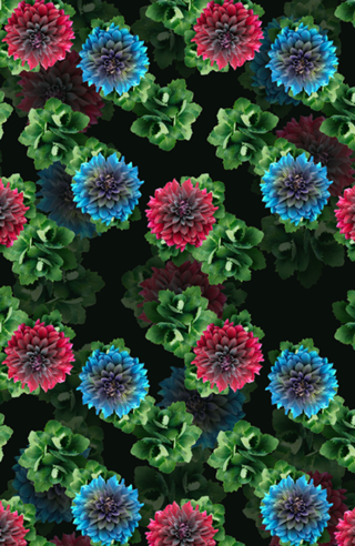 Nature Exotic Flowers