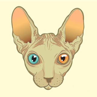 Heterochromic sphynx