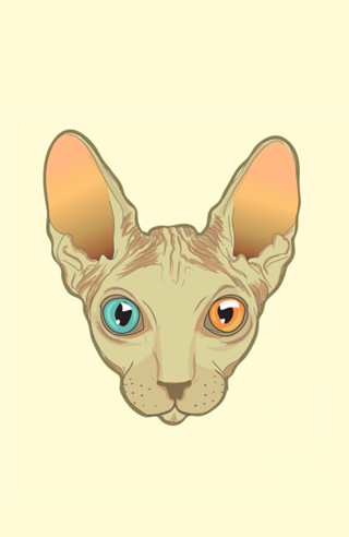 Heterochromic sphynx