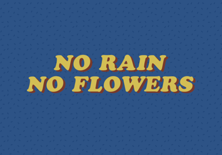No Rain No Flowers