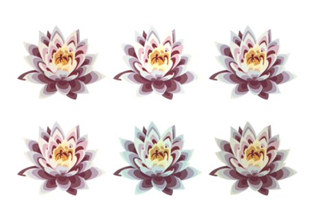 Flor de Lótus