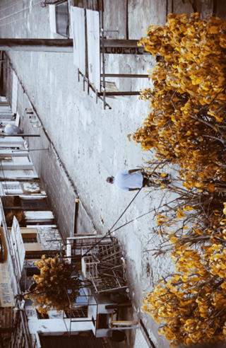 Loneliness