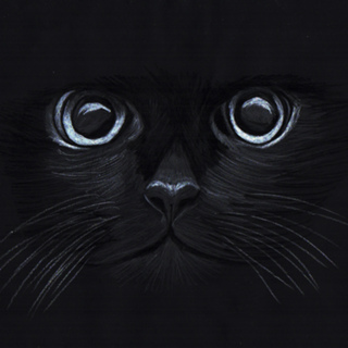 The Cat