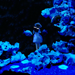 Dream 01