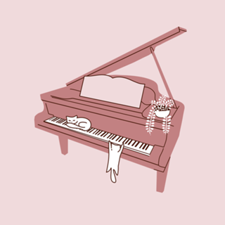 Piano e gatos