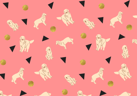 Cachorro Golden Retriever