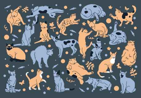 Gatos fazendo coisas de gato