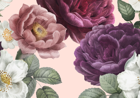 Rosas