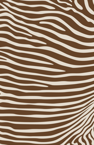 Brown Zebra