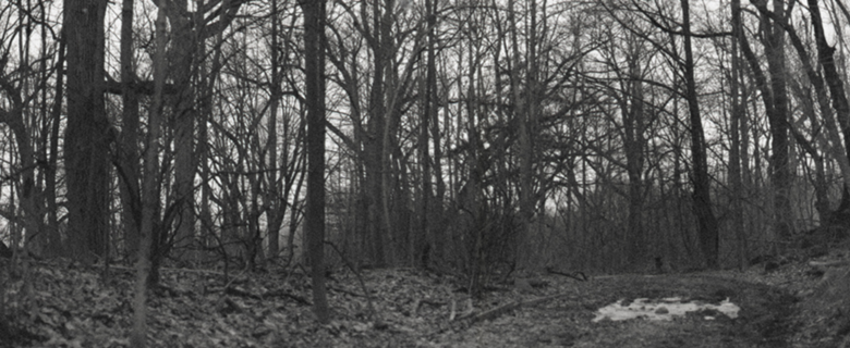 Witchcraft II