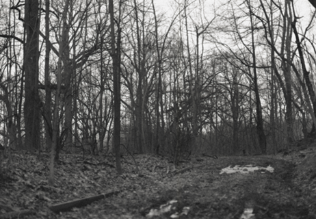 Witchcraft II