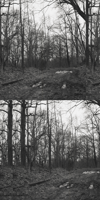 Witchcraft II