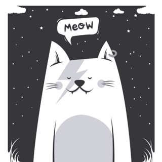 Cat Bowie