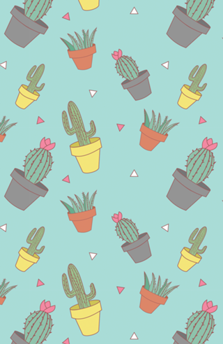 Cactos e Suculentas