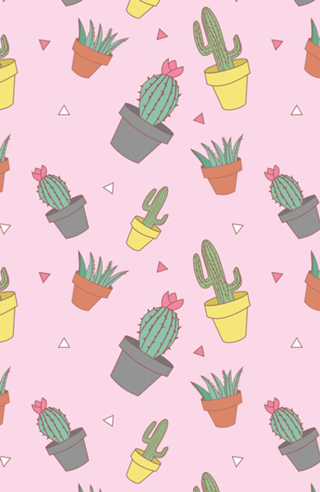 Cactos e Suculentas Rosa