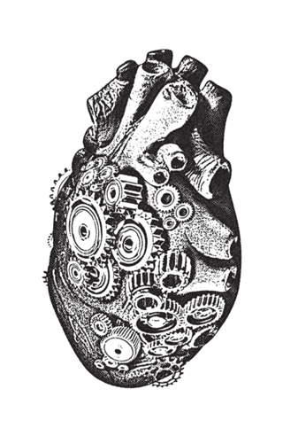 Heart