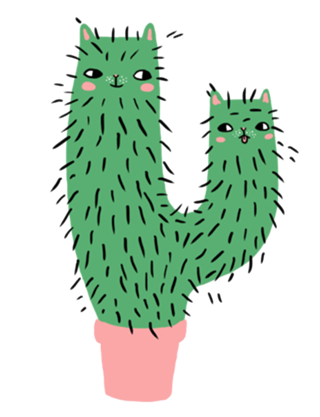 Cat cacto