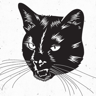 Felino