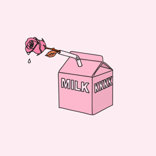 Milk rose