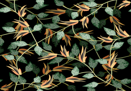 Leaves in Black