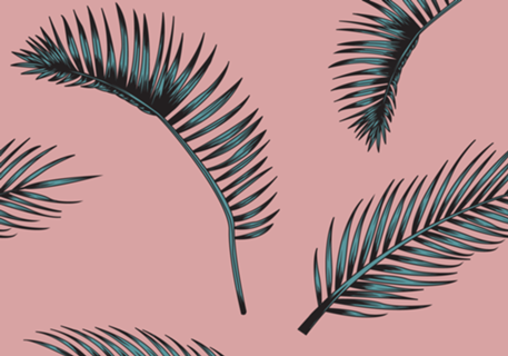 Tropical vibes