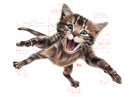 Gato equilibrista