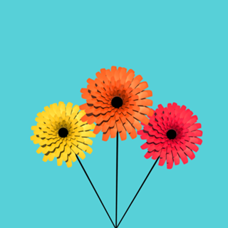 FLOR