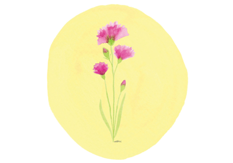 Cravo em aquarela - fundo amarelo