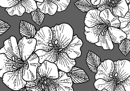 Flores II