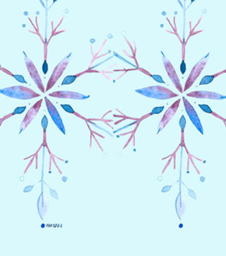 Floco de neve 1