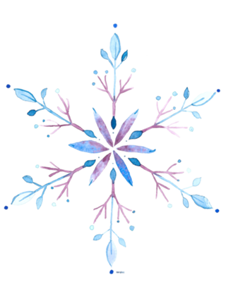 Floco de neve 1
