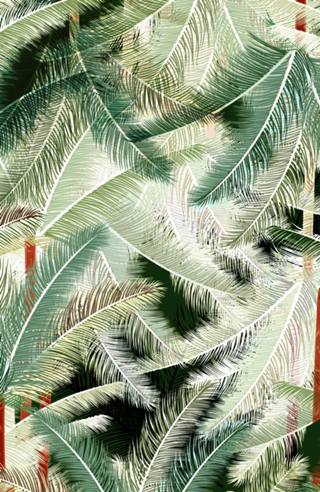 Tropical