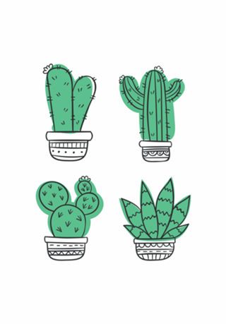 Cactus
