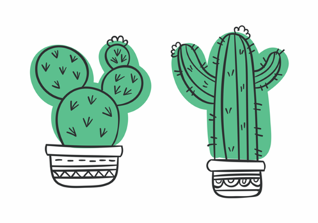 Cactus