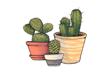 Cactos