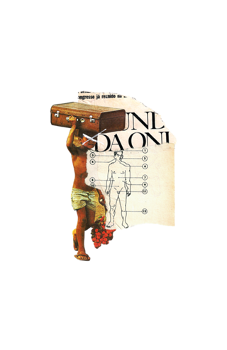 Aproveito o corpo que tenho