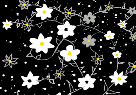 Flores