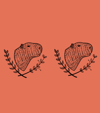 Capivara Folk Style