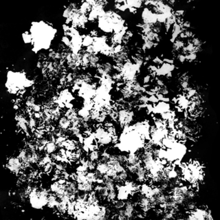 Floral 2