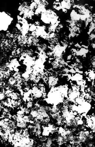 Floral 2
