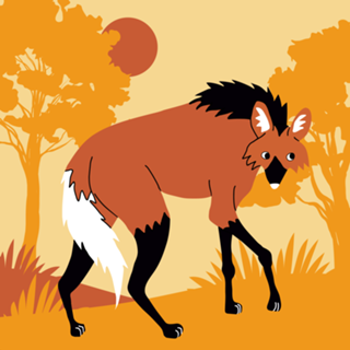 Lobo guará