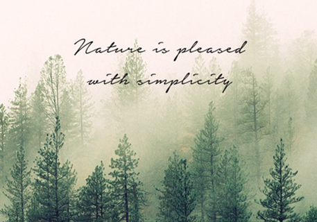 Nature is Pleased with Simplicity