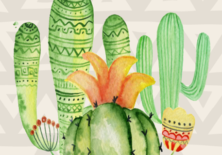 Native Cacti & Flowers