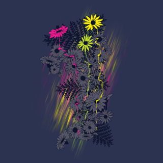 Daisies
